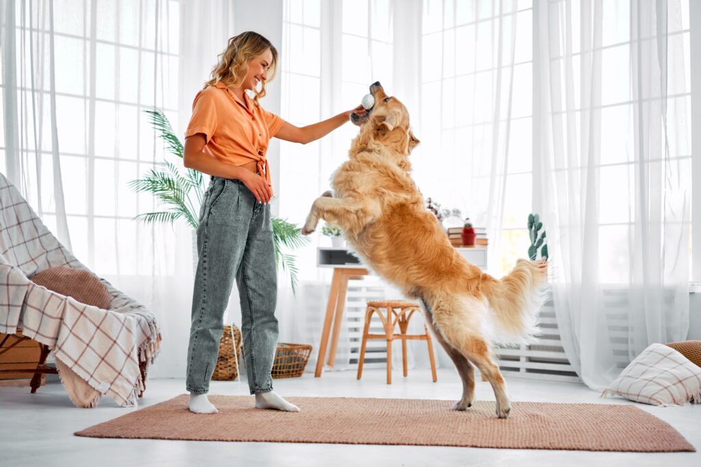 Fun with pet.